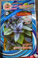 Hạt giống húng quế Ý tím gói 100 hạt nhập Thái Lan (purple italian basil)