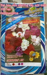 Hạt giống hoa cẩm chướng kép mix màu 100 hạt nhập Thái Lan (carnation mix)