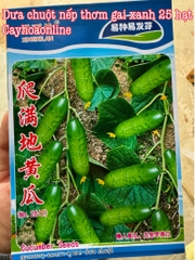 Hạt giống dưa chuột nếp thơm gai xanh tự thụ gói khoảng 25 hạt