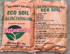 Giá thể trồng cây eco soil phù hợp nhiều loại cây