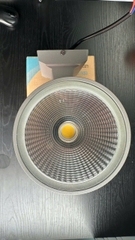Đèn Led Gắn Tường 20W Paragon PWLCE27