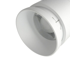 Đèn ray nam châm 30W PSLUU30LL Paragon