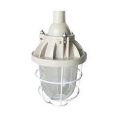 Đèn led highbay chống nổ Paragon 30W BCD250