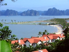 Hạ Long
