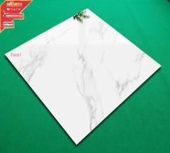 GẠCH LÁT 60x60: SVT6809