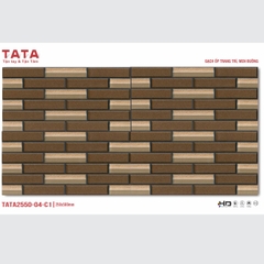 GẠCH ỐP TƯỜNG TATA 20x50: TATA2550-04-C1