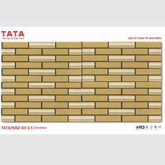 GẠCH ỐP TƯỜNG TATA 20x50: TATA2550-03-C1