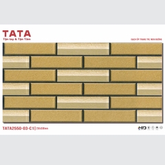 GẠCH ỐP TƯỜNG TATA 20x50: TATA2550-03-C1