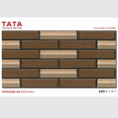 GẠCH ỐP TƯỜNG TATA 20x50: TATA2550-04-C1