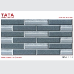 GẠCH ỐP TƯỜNG TATA 20x50: TATA2550-02-C1