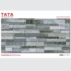 GẠCH ỐP TƯỜNG TATA 20x50: TATA2550-01-C1