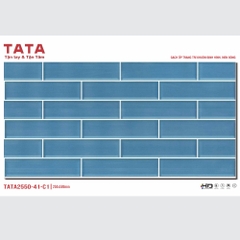 GẠCH ỐP TƯỜNG TATA 20x50: TATA2550-41-C1