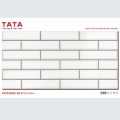 GẠCH ỐP TƯỜNG TATA 20x50: TATA2550-30-C1