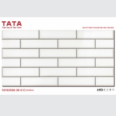 GẠCH ỐP TƯỜNG TATA 20x50: TATA2550-30-C1