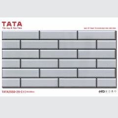 GẠCH ỐP TƯỜNG TATA 20x50: TATA2550-29-C1