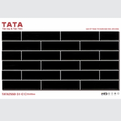 GẠCH ỐP TƯỜNG TATA 20x50: TATA2550-31-C1