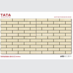 GẠCH ỐP TƯỜNG TATA 20x50: TATA2550-28-C1