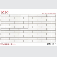 GẠCH ỐP TƯỜNG TATA 20x50: TATA2550-30-C1