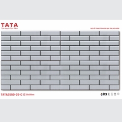GẠCH ỐP TƯỜNG TATA 20x50: TATA2550-29-C1