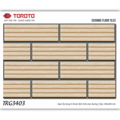 GẠCH ỐP TRANG TRÍ 30x45: TRG3403