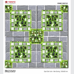 GẠCH LÁT SÂN VƯỜN 50x50: TRG5503