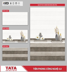 GẠCH ỐP TƯỜNG TATA 300x600: TATA3625-26D-27