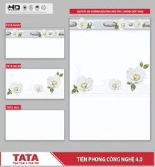 GẠCH ỐP TƯỜNG TATA 300x600: TATA3632-33D-34V