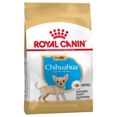 ROYAL CANIN - Chihuahua Junior 500g - Thức an cho chó giống Chihuahua dưới 10 tháng