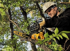 Máy cưa xích dùng pin Dewalt DCCS620B