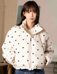 Áo khoác nữ Hàn Quốc 102103