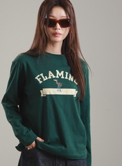 Áo thun nữ Hàn Quốc 021704