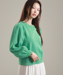 Áo thun nữ Hàn Quốc 021706