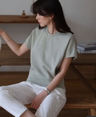 Áo thun nữ Hàn Quốc 031016