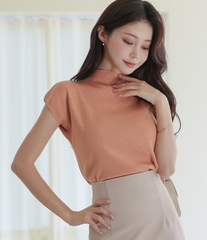 Áo thun nữ Hàn Quốc 111028