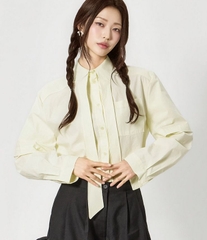 Sơ mi nữ Hàn Quốc 040902