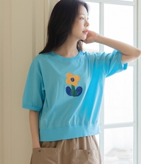 Áo phông nữ Hàn Quốc 060610