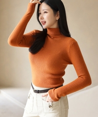 Áo thun nữ Hàn Quốc 102463