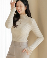 Áo thun nữ Hàn Quốc 110305