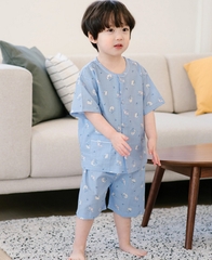 Bộ đồ bé trai 083137