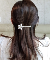 Kẹp tóc Hàn Quốc 042307