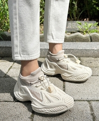 Giầy nữ Hàn Quốc 102401