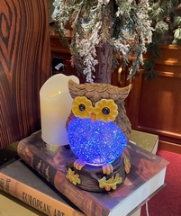 Đèn trang trí Noel 092711