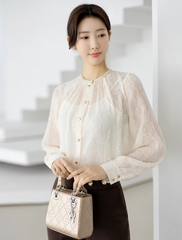 Sơ mi nữ Hàn Quốc 101603