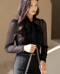 Sơ mi nữ Hàn Quốc 101613