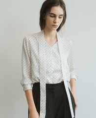 Sơ mi nữ Hàn Quốc 090825