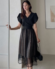 Đầm Hàn Quốc 042010