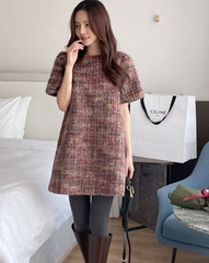 Đầm Hàn Quốc 112510