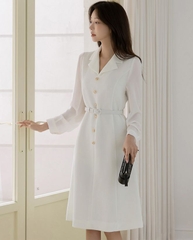 Đầm công sở Hàn Quốc 042509