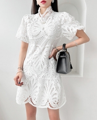 Váy thời trang Hàn Quốc 082650