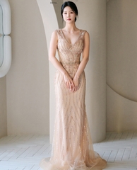 Đầm dự tiệc cao cấp 101582